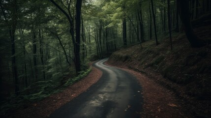 A winding road through a dense forest with trees on either side of the asphalt. Generative AI