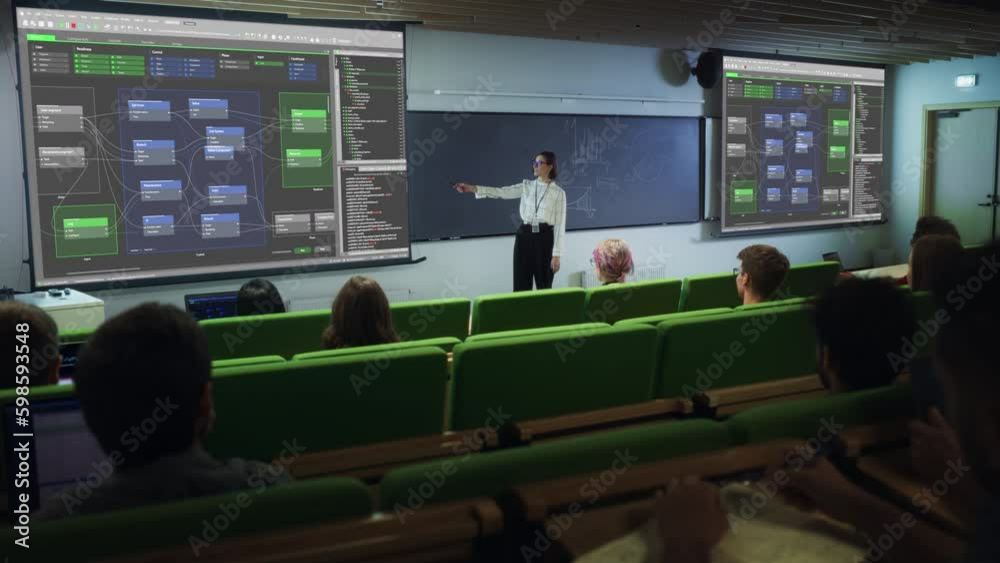 Fototapete young female teacher giving a web development presentation to diverse multiethnic group of female an