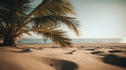 Fototapeta na wymiar Beach with palm tree