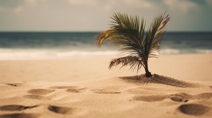 Obraz premium Beach with palm tree