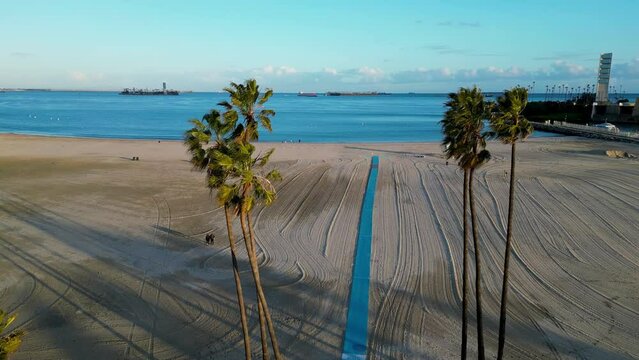 Long Beach, Los Angeles, CA, USA 2023 - Flying between palm trees near the beach