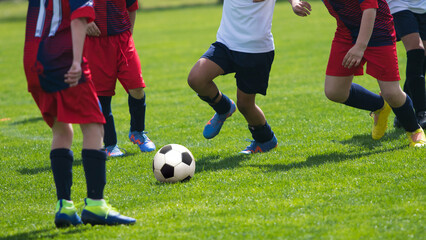 Soccer Players in a Duel on Grass  Running After Soccer ball