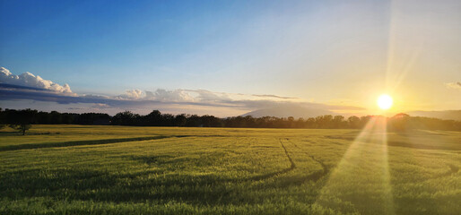 Fields illuminated by the setting sun, a calm evening in the Spanish countryside.