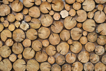 Wall made of tree cuts.