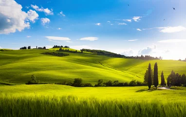 Poster Idyllic summer rural landscape, Tuscany, Italy © Konstiantyn