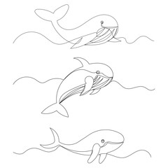 whale drawing in one continuous line isolated vector