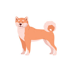Shiba inu cute breeded dog cartoon character flat vector illustration isolated.