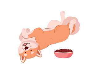 Obraz premium Cute Shiba Inu dog rolls on his back, flat vector illustration isolated.