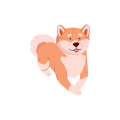 Shiba inu hunting dog breed bred in Japanese, flat vector illustration isolated.