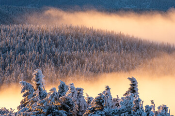 Wintermood sunrise in a mountains with frozen stones and spruce trees with inversion in Jeseniky...