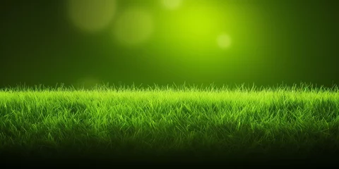 Fotobehang Beautiful fresh green grass, great design for any purposes. Spring, summer landscape. Natural background. Green background. Blue background. Beautiful natural landscape. © imagemir