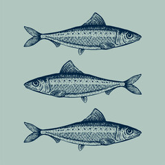 Dessins Illustration poissons Sardines Mer  - obrazy, fototapety, plakaty