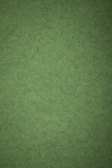 Fototapeta premium Abstract textured background with fine details