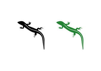 vector lizard animal drawing designs