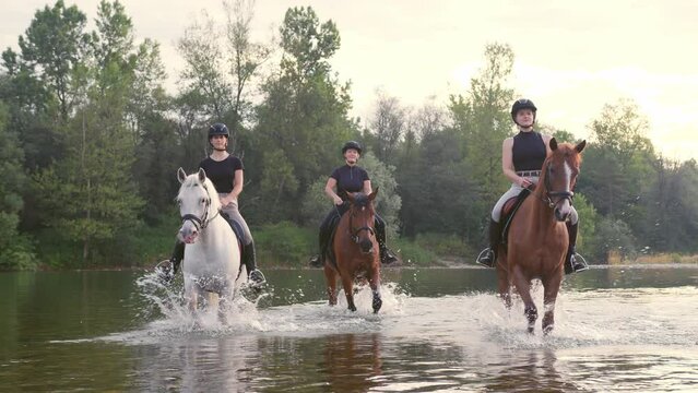 Three rider girls crossing the calm river water riding their beautiful horses on the cloudy summer day, handheld shot. Concept of equestrian leisure activity.