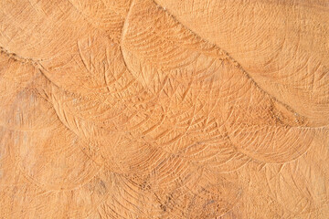 wood texture background