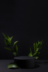 Obraz na płótnie Canvas Black abstract stage one cylinder podium mockup, fresh green tropical leaves in hard light, shadows in summer night style, scene template for presentation cosmetic products, goods, design, vertical.