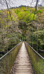 Pontedeume, Galicia, Spain - April 3, 2023: Suspension bridge in the natural reserve of "Fragas do Eume" 