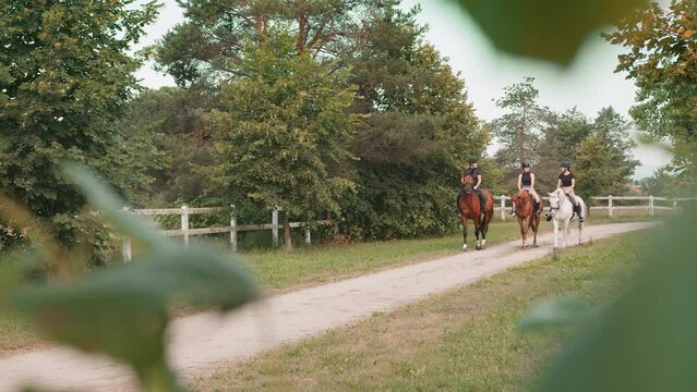 Three horsewomen enjoy riding beautiful horses, side by side along the trail at the equestrian center on a sunny day, handheld shot.