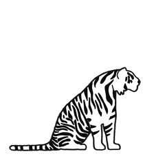Minimal Tiger Sit
