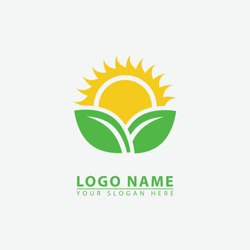 modern leaf sun logo icon.