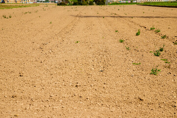 plowed field without cultivation, dry and arid land