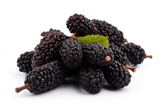 Black mulberry isolated on white background. Generative AI
