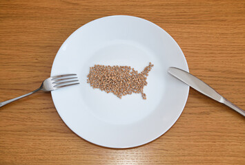 Wheat on a plate laid out in the shape of a map of the United States. Food concept
