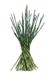 Lots of twigs arrange to decorate the bouquet