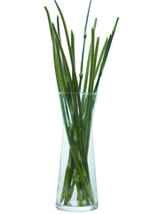 Lots of twigs arrange to decorate the bouquet