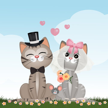 illustration of newlywed kittens