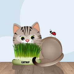 funny illustration of with catnip plant