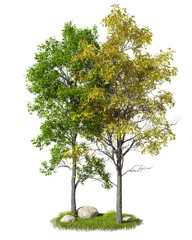 Composition trees outside cutout isolate backgrounds 3d render