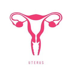 female reproductive system women uterus ovary icon