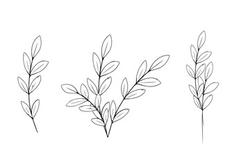 set Botanical design elements set of bouquets leaves trees Modern style wedding birthday party dewar at home