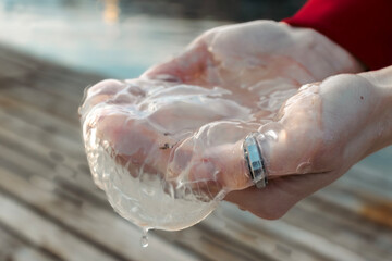 Woman with a ring holding a Jellyfish