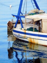 sea dalmatia