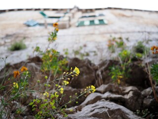 old town street dalmatia