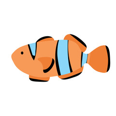 Anemone fish isolated on white. Clownfish in yellow, black and blue colors. Aquarium fish realistic vector illustration in flat style design eps10