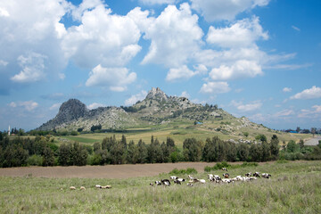 A remote view of the southern side of Yilankale (Turkish for 