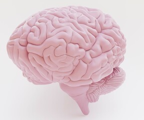 Realistic 3D Render of Plastic Human Brain