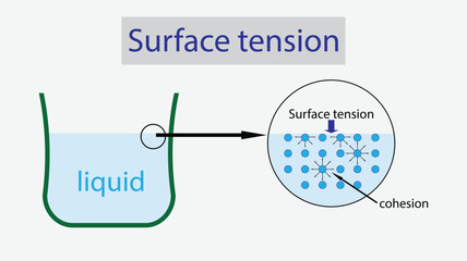 illustration of physics, Water has a surface tension, Surface tension of water, the cohesive forces between water molecules at the surface, Surface tension explanation, adhesion - obrazy, fototapety, plakaty