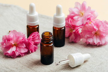 Brown glass dropper bottles with essential oil and pink cherry blossom on textile napkin. Aromatherapy, beauty treatment concept. Closeup