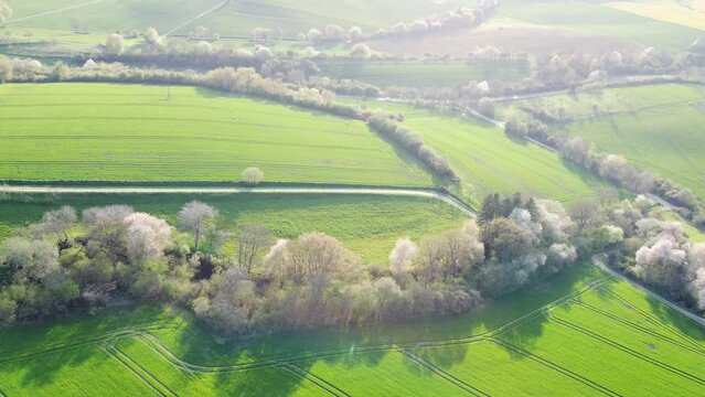 Drohne fliegt &uuml;ber Auenwald, B&auml;ume und Heckenstreifen im Fr&uuml;hjahr inmitten von landwirtschaftlichen Fl&auml;chen, Luftaufnahme
