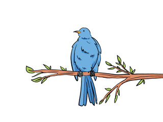 Colorful cute blue bird vector illustration standing on top of tree branch. Outlined full coloured drawing isolated on white landscape horizontal background. Simple flat art styled animal drawing.