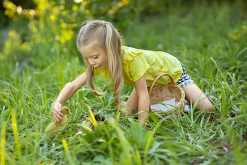 Little girl plays with ducklings on the grass. Animal care. Pet. Organic farm.