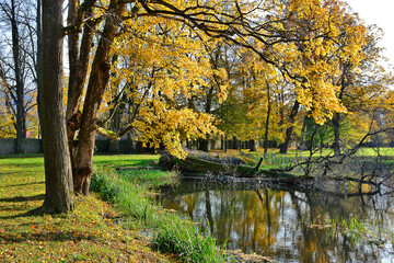 Colorful autumn landscape of wooded banks of pond in city park Dukla, Poland