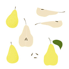 Pear slice seed. Summer fruits textured. Hand drawn organic vector illustration