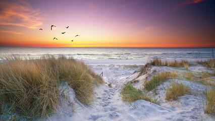 Strandzugang zum Meer an der Ostsee im Sonnenuntergang - obrazy, fototapety, plakaty
