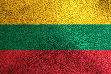 Flag of Lithuania painted on leather surface